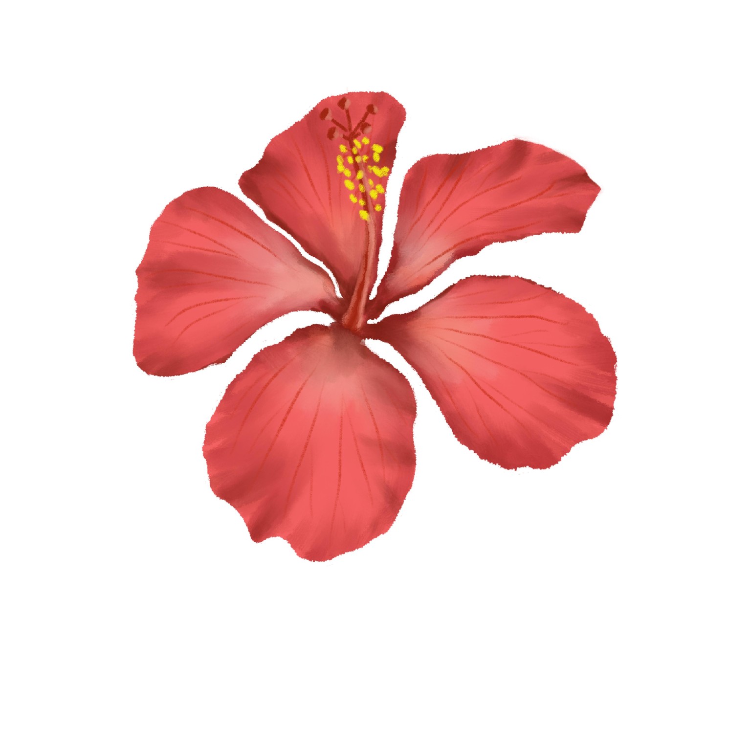 Illustrate tropical flowers in procreate - image 1 - student project
