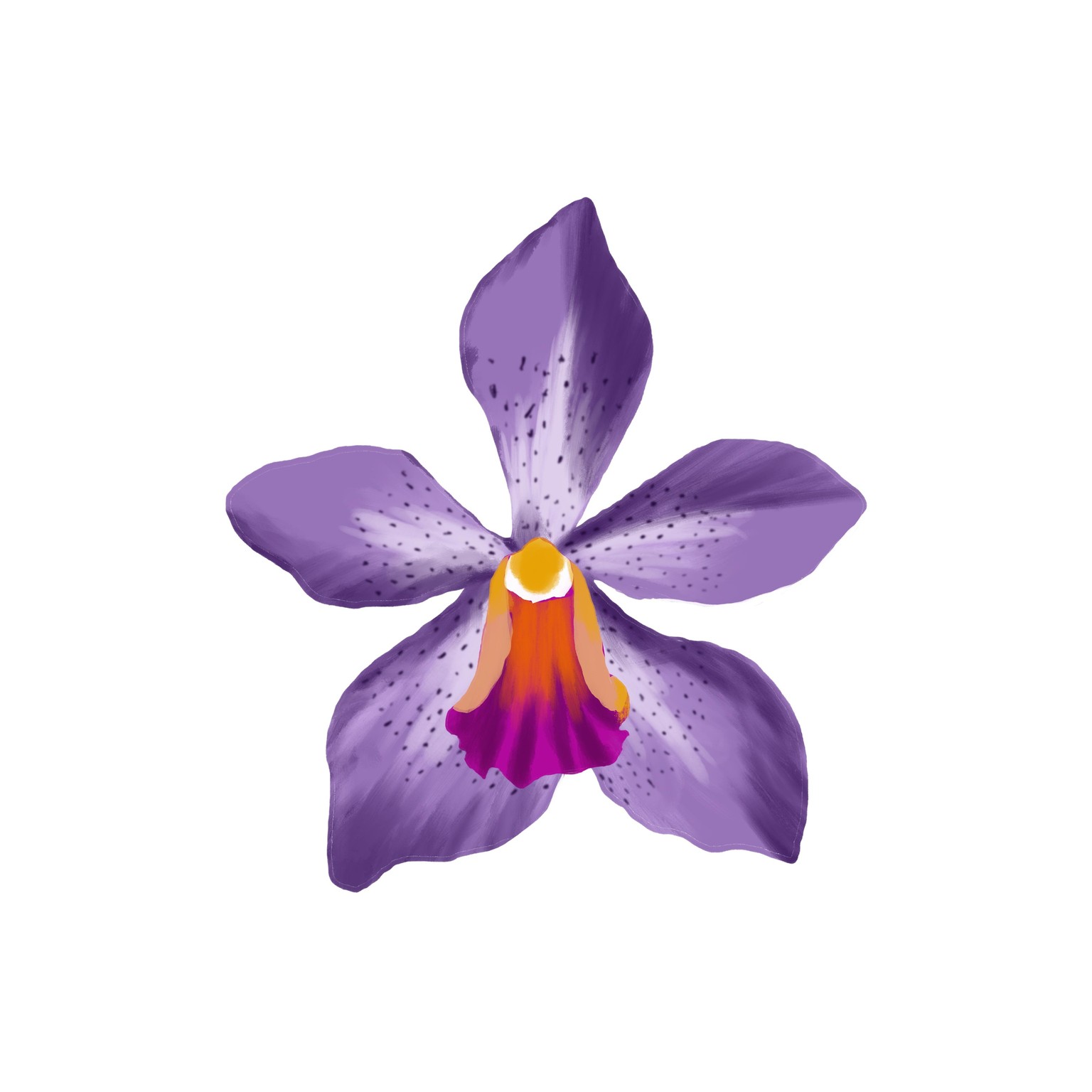 Illustrate tropical flowers in procreate - image 2 - student project