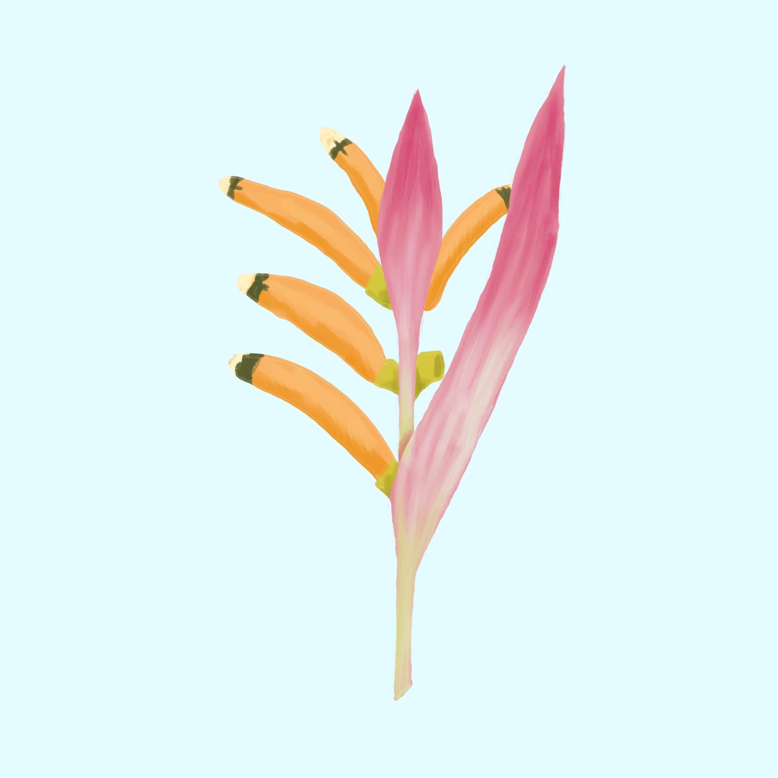 Illustrate tropical flowers in procreate - image 3 - student project