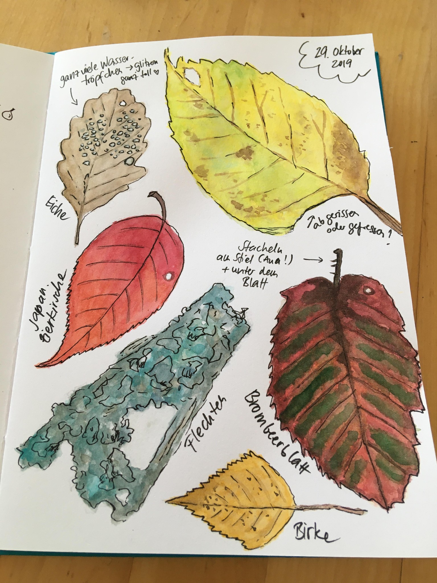 Autumn page in my nature journal - image 1 - student project