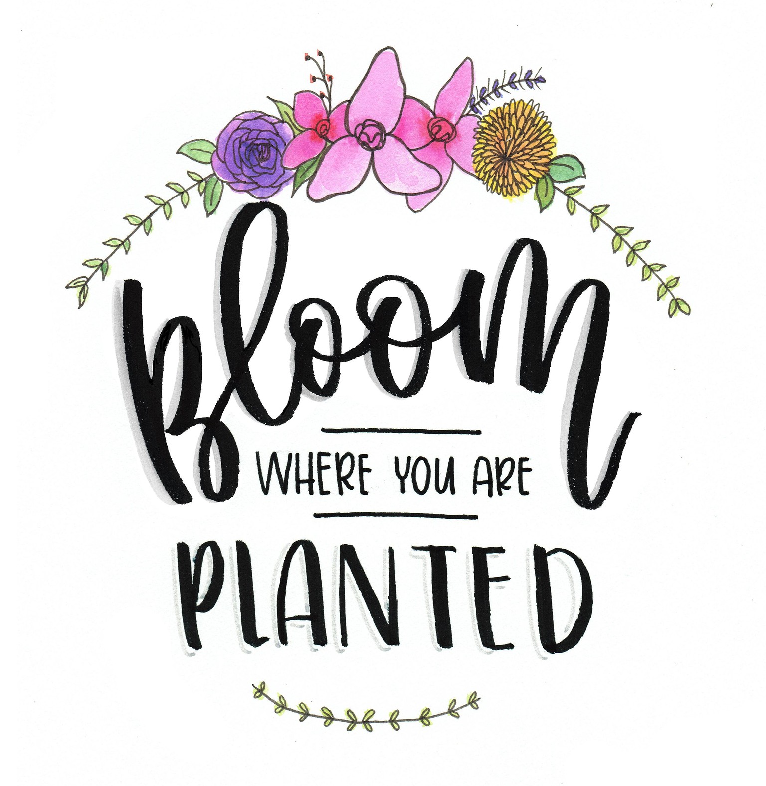Bloom Where You Are Planted - image 2 - student project