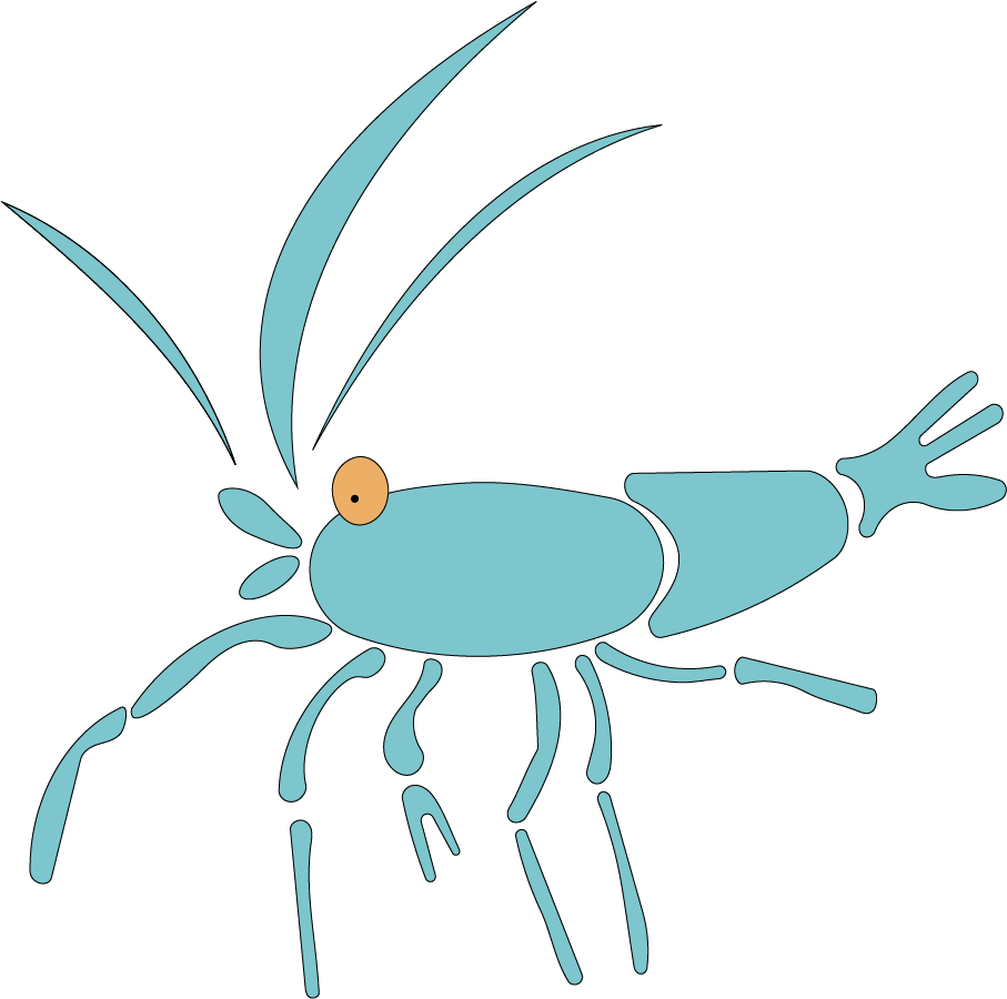 Shrimp pet illustration - image 1 - student project