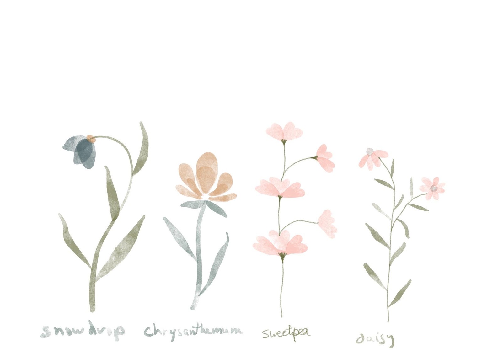 Floral Fun - image 1 - student project