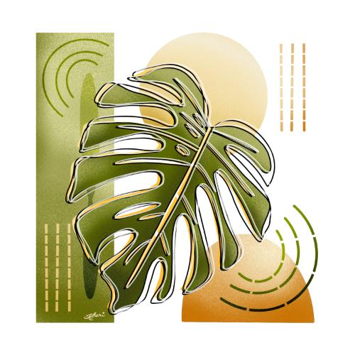 Contour Creation - image 3 - student project