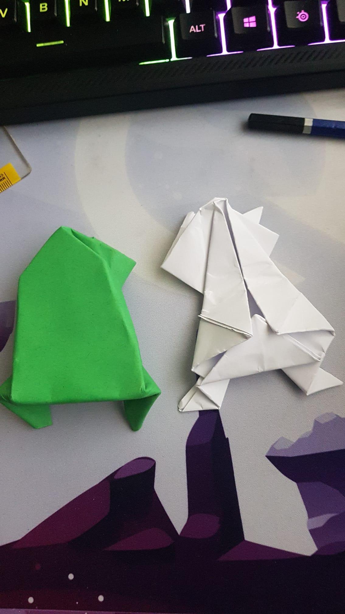 Origami frog - image 1 - student project