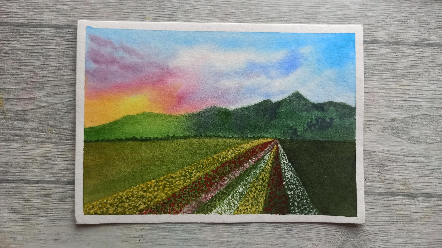 Spring bloom - image 5 - student project