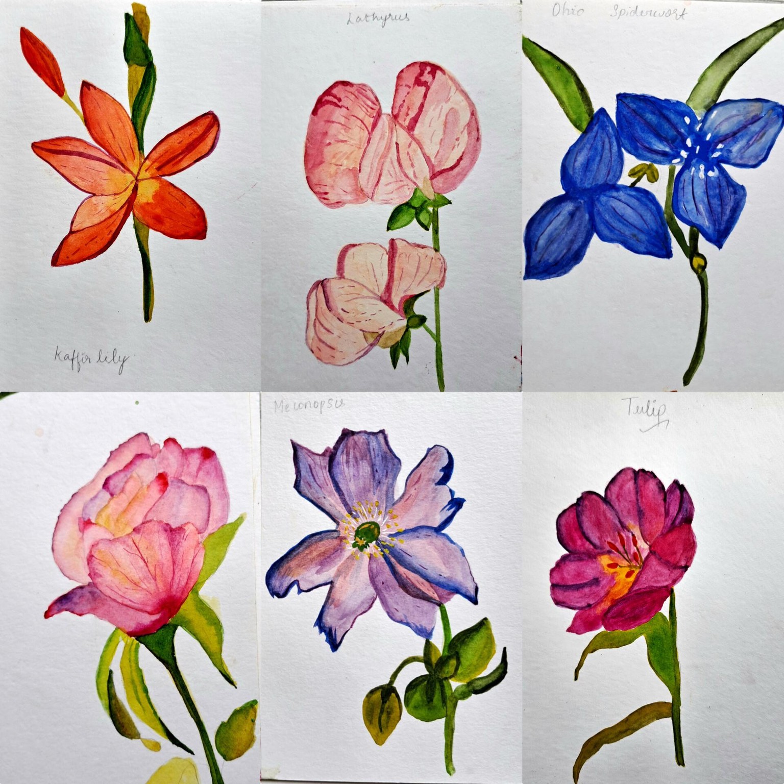Floral - image 1 - student project