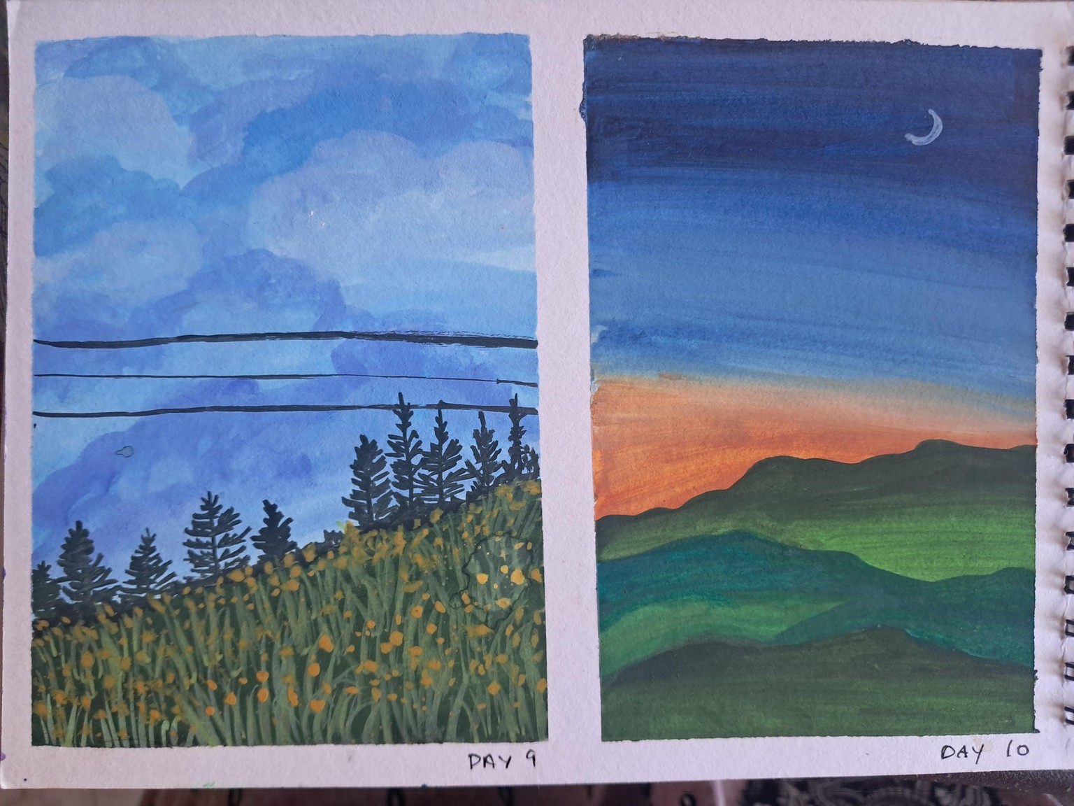 30 days challenge Gouache - image 9 - student project