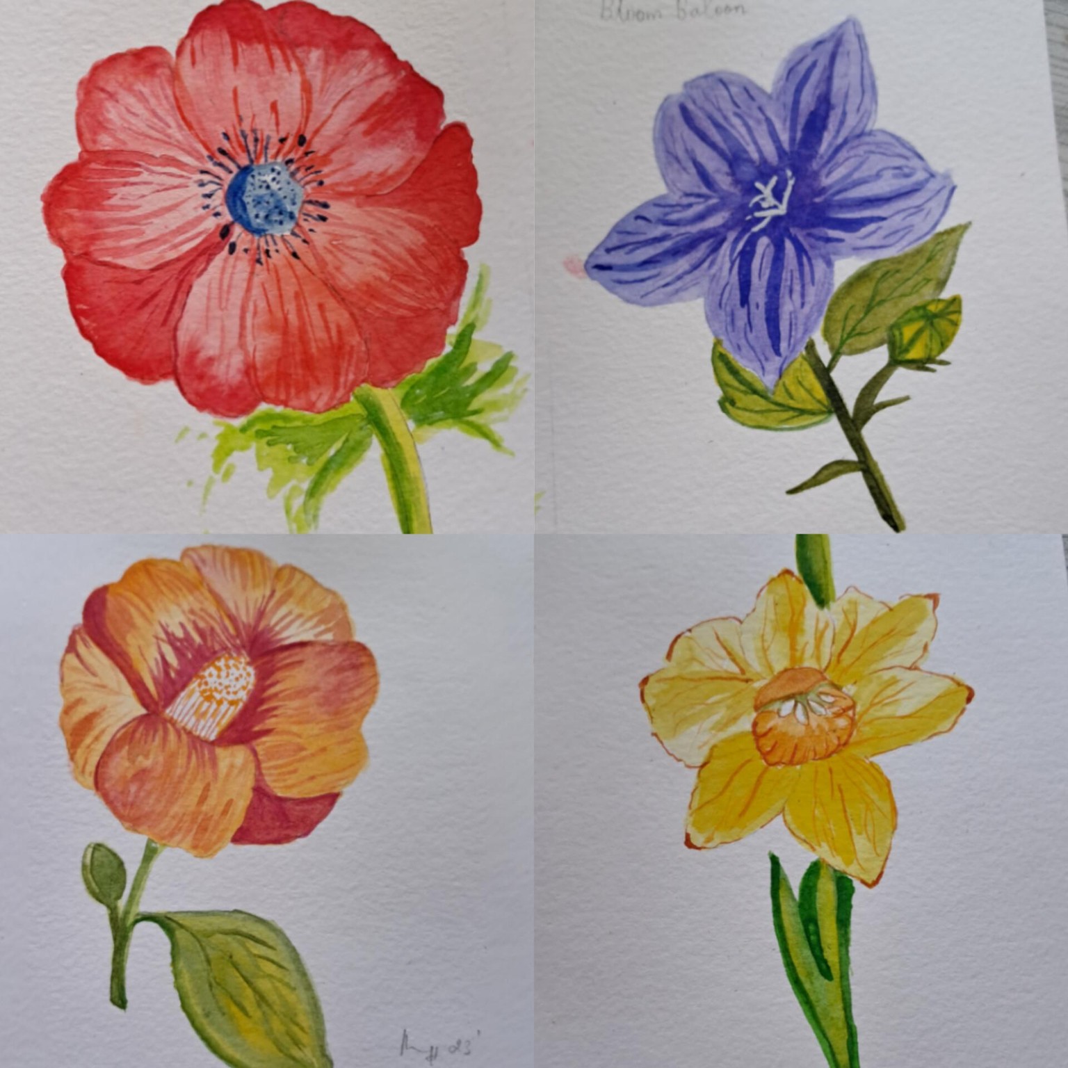 Floral - image 5 - student project