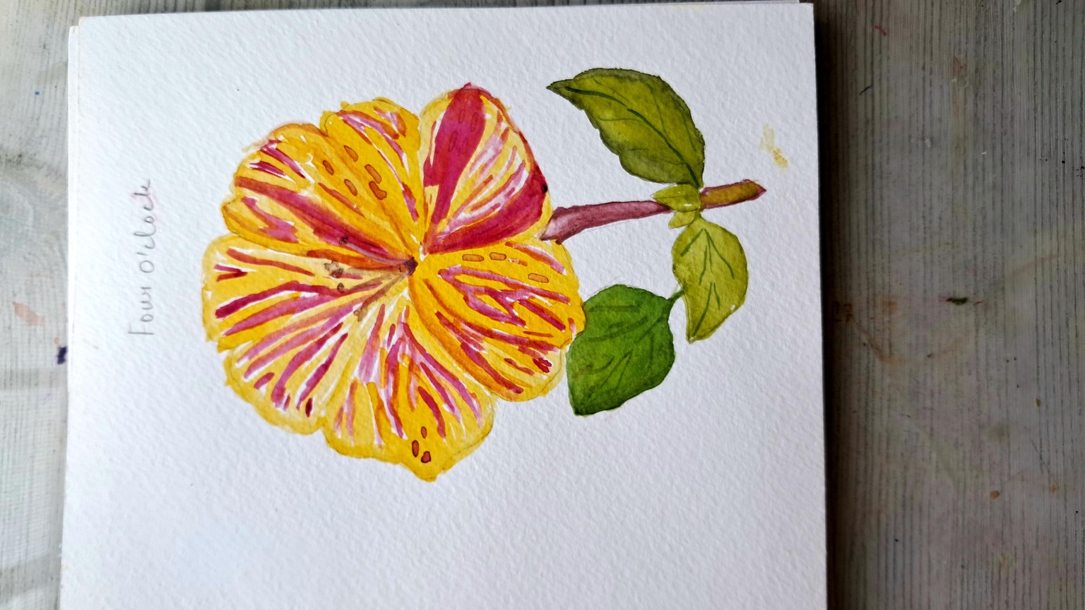 Floral - image 4 - student project