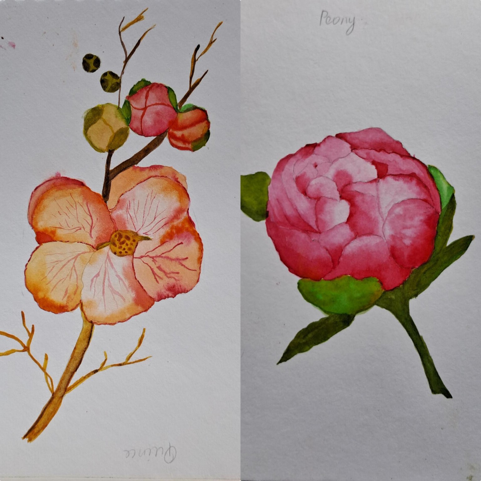 Floral - image 2 - student project