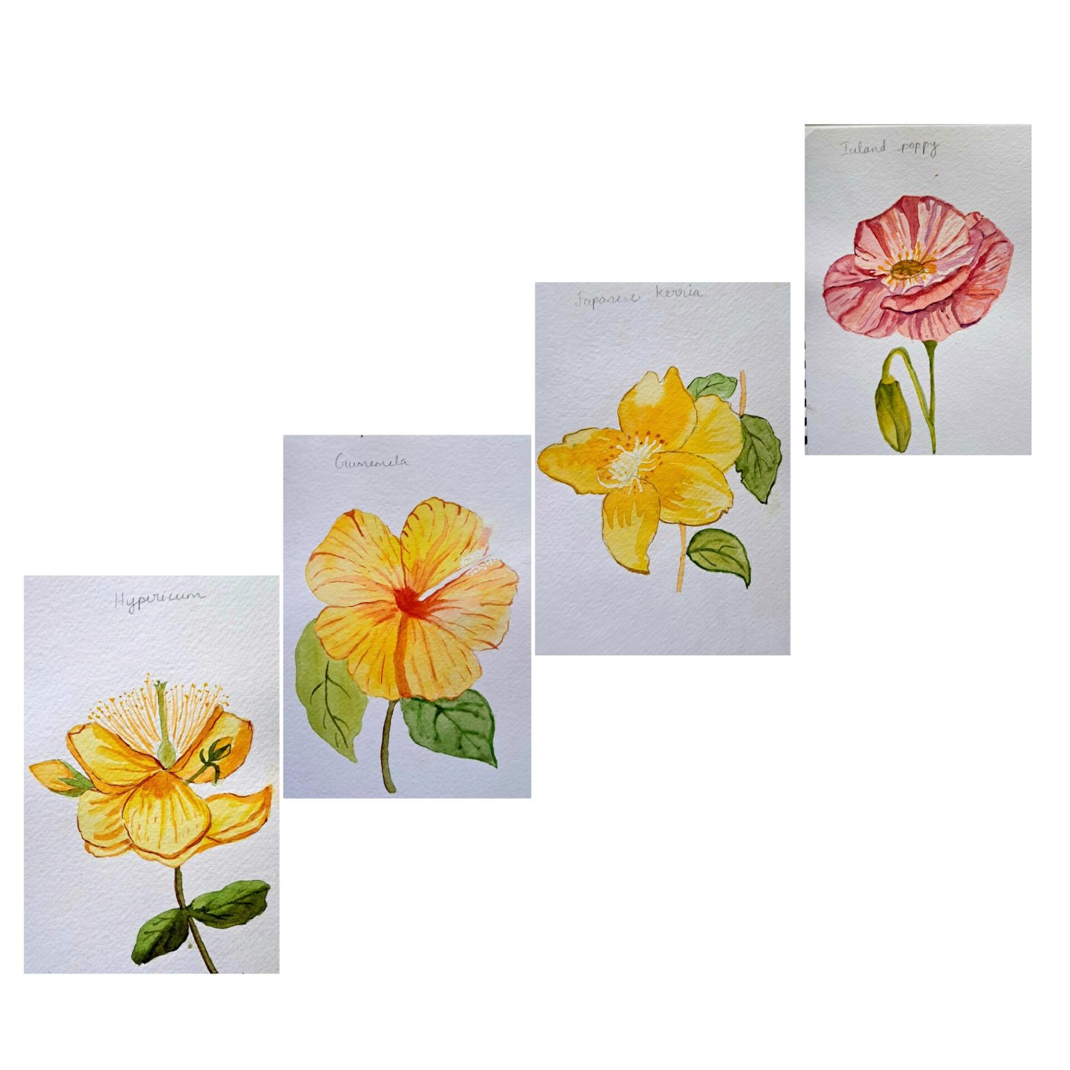 Floral - image 3 - student project