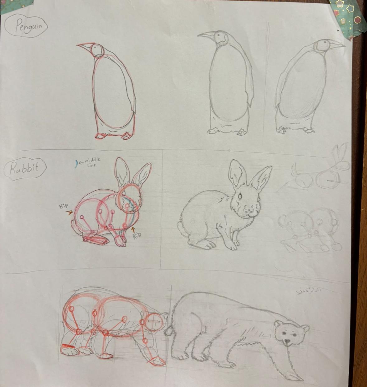 animal (cartoon) - image 3 - student project