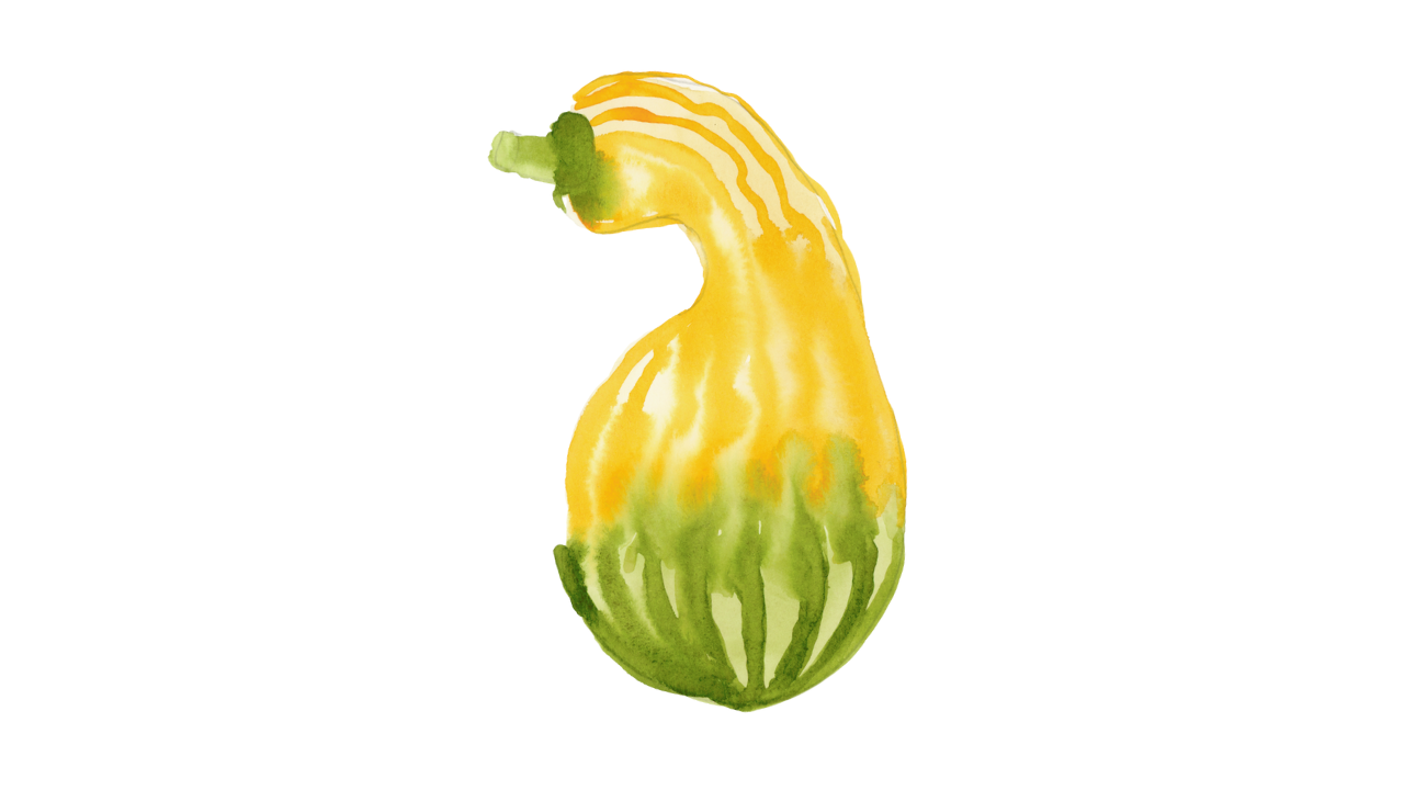 Watercolor Pumpkin Varieties - image 5 - student project