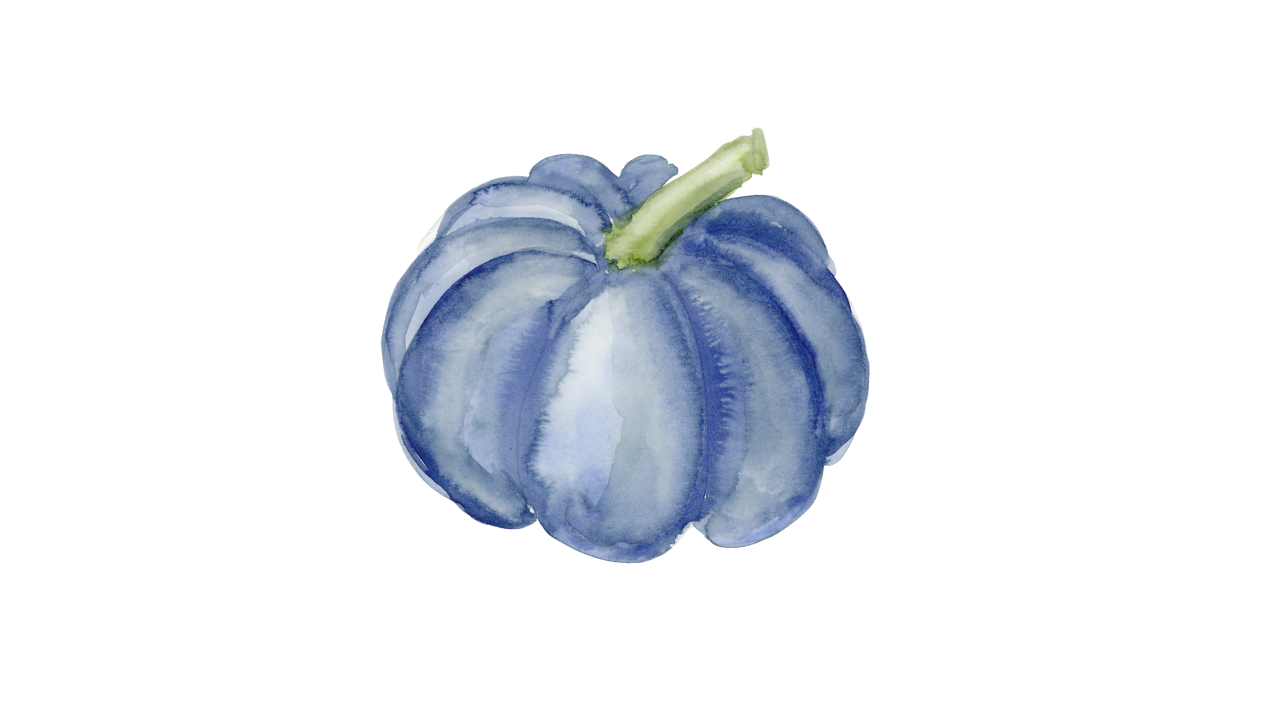 Watercolor Pumpkin Varieties - image 4 - student project