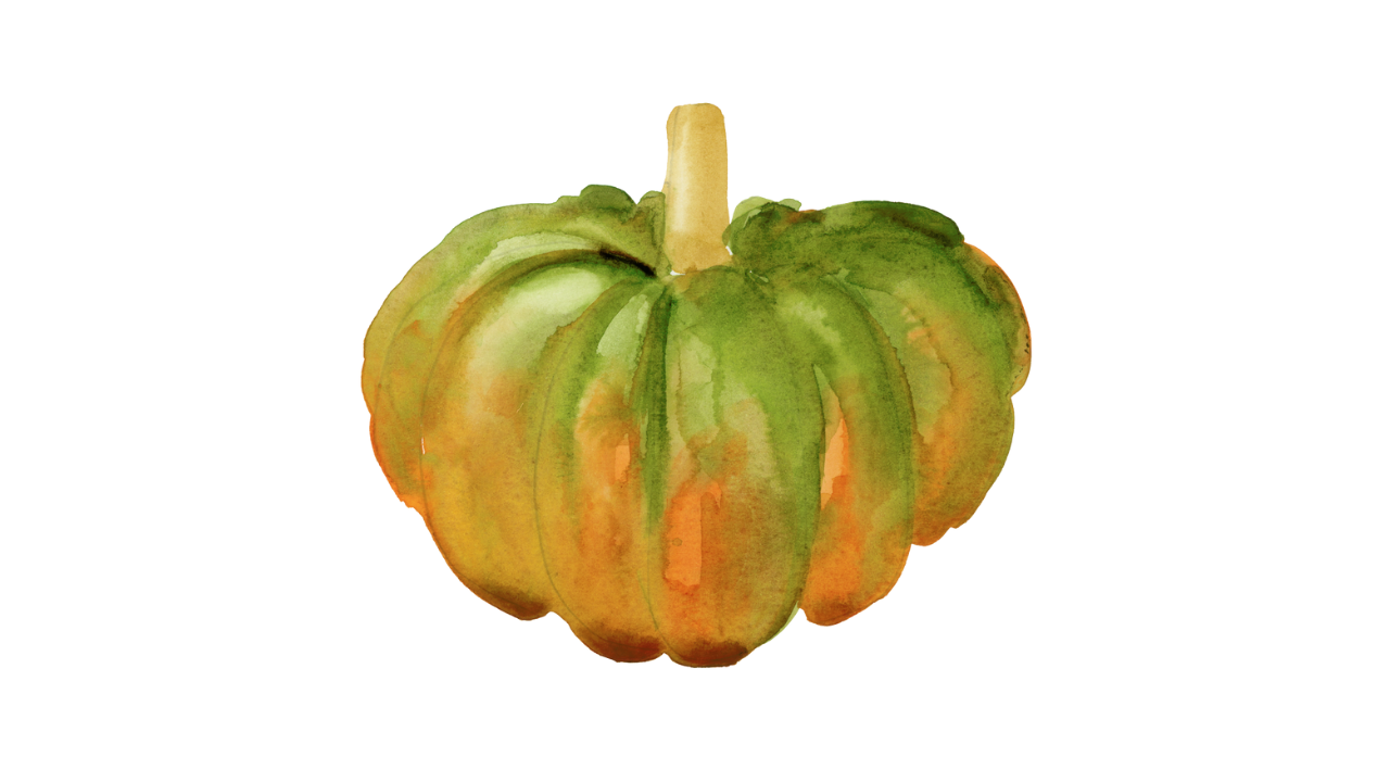 Watercolor Pumpkin Varieties - image 2 - student project
