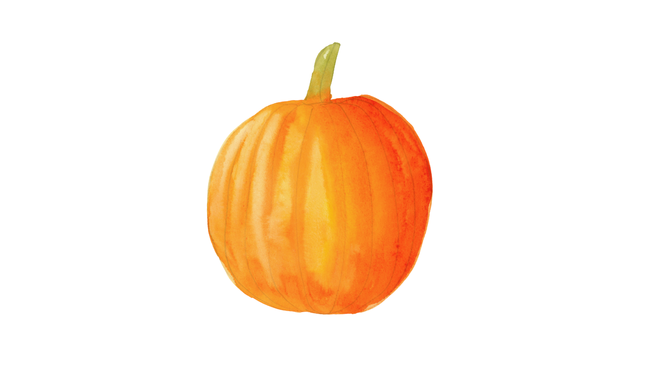 Watercolor Pumpkin Varieties - image 1 - student project