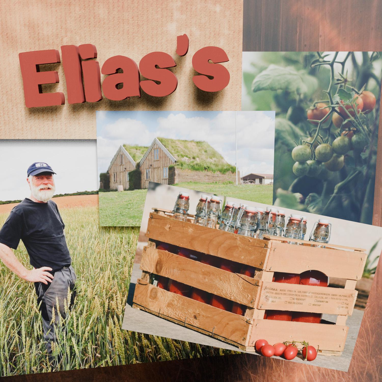 Elias's Ketchup - image 1 - student project
