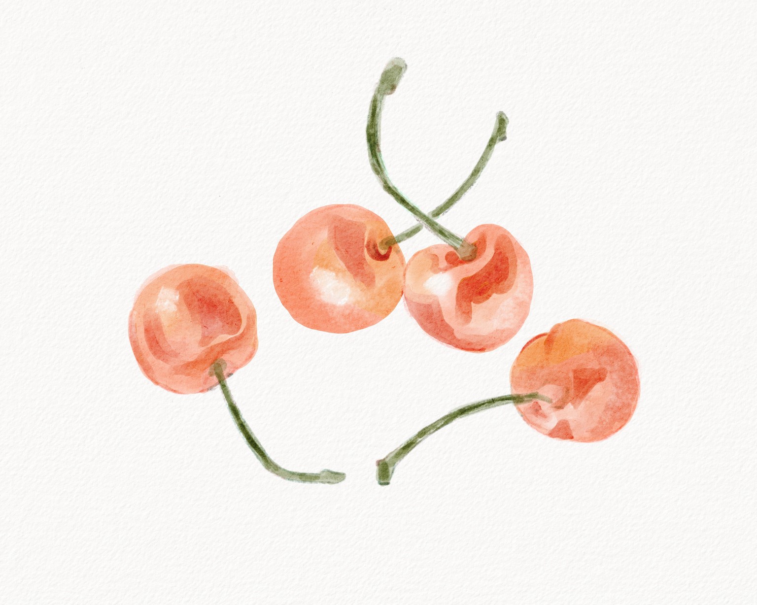 Cherries - image 2 - student project