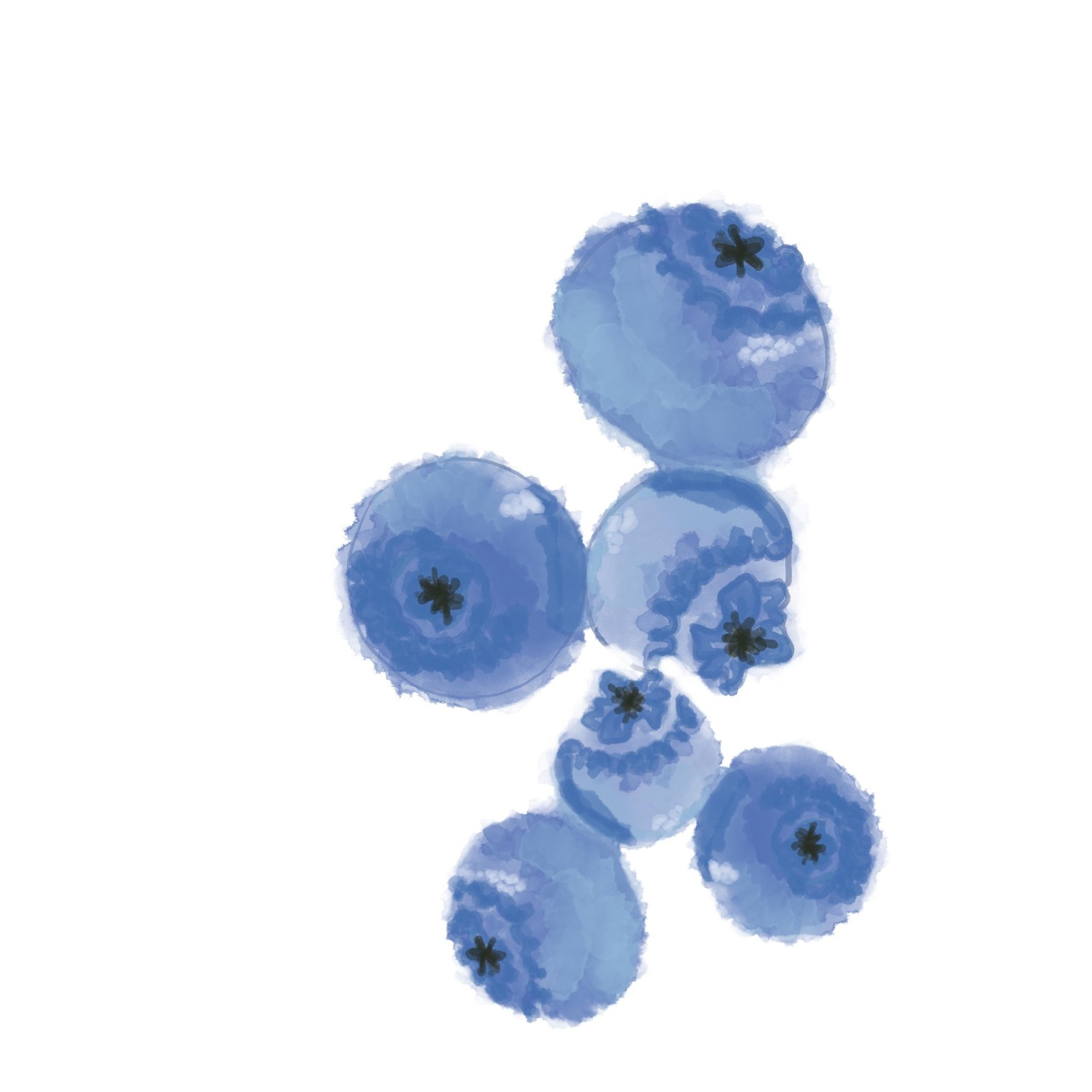 Digital Watercolour fruits - image 1 - student project