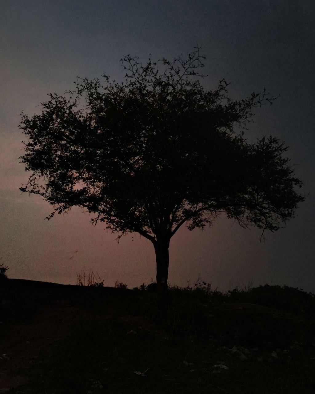 skycurvature - image 2 - student project