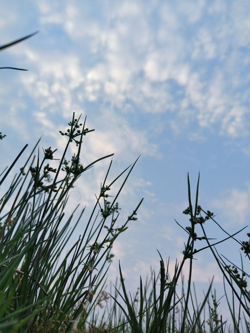 skycurvature - image 3 - student project