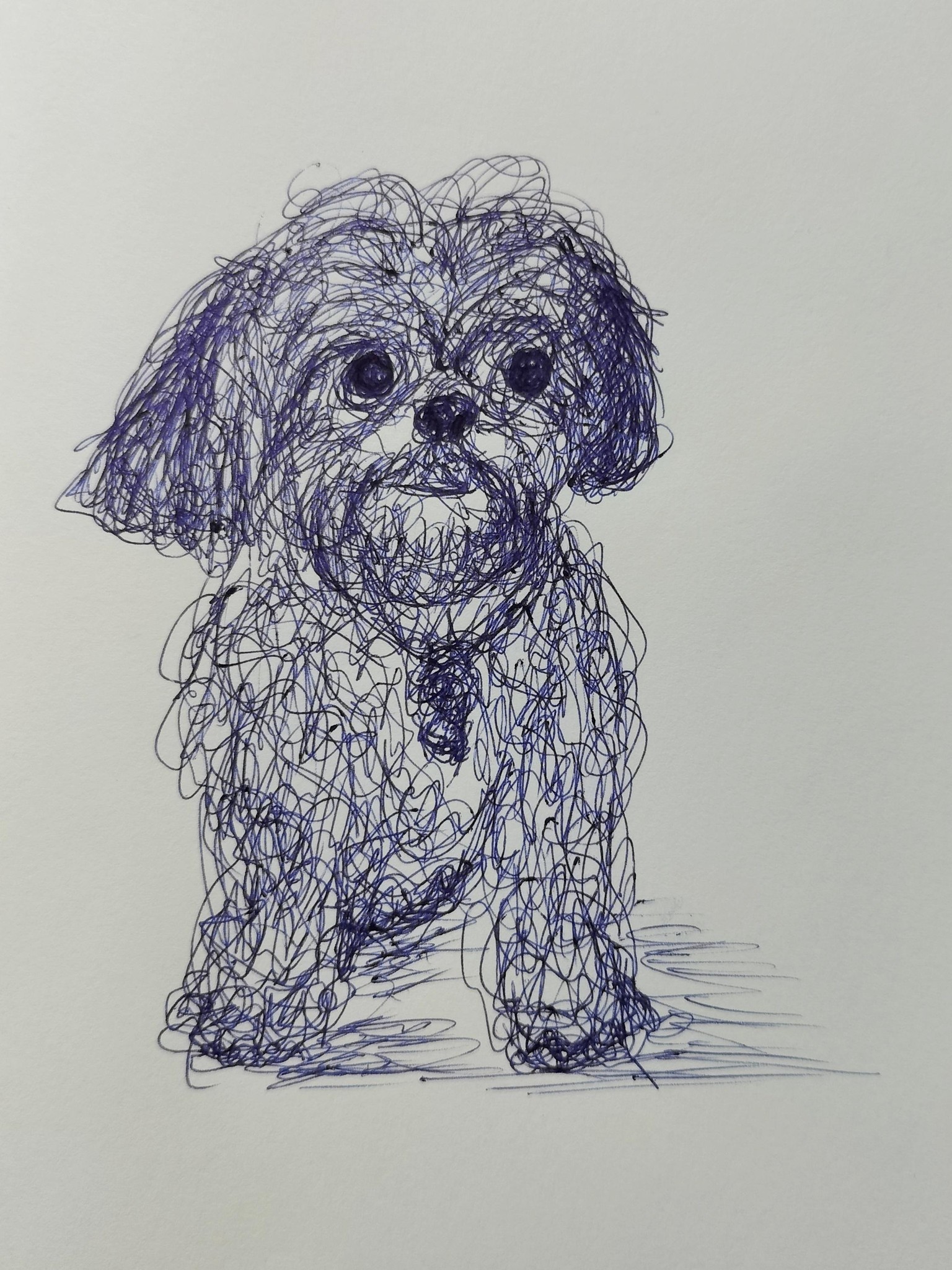 Drawing Dogs - image 2 - student project