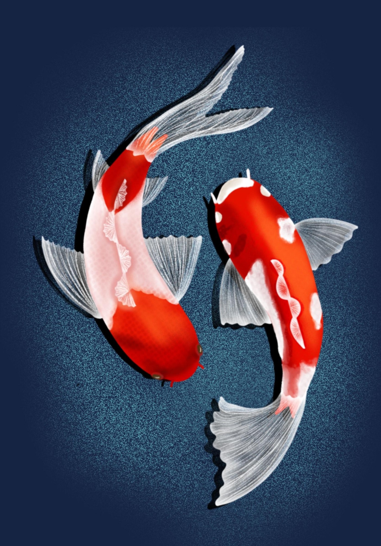 Koi fish - image 1 - student project