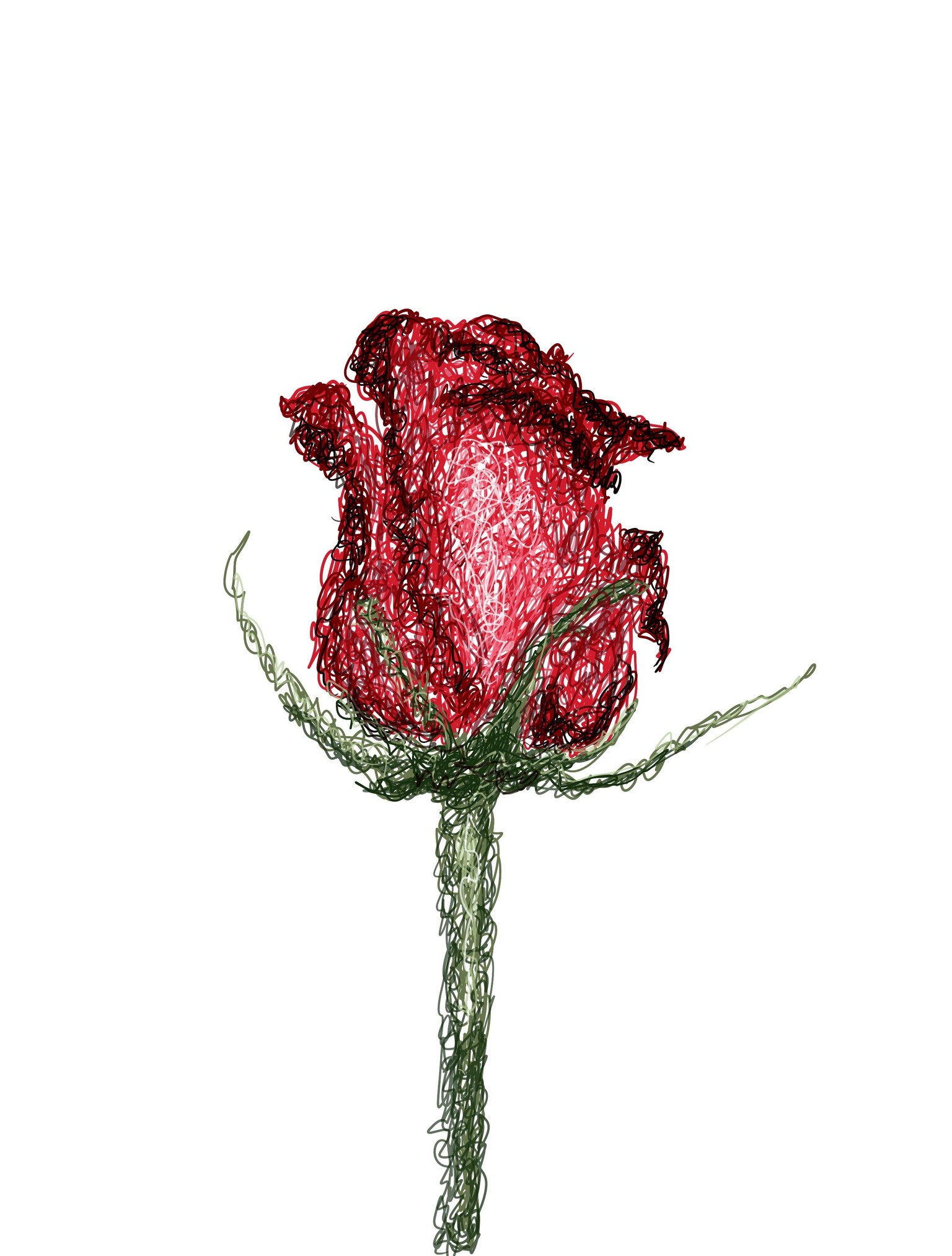 Scribble fun - image 2 - student project
