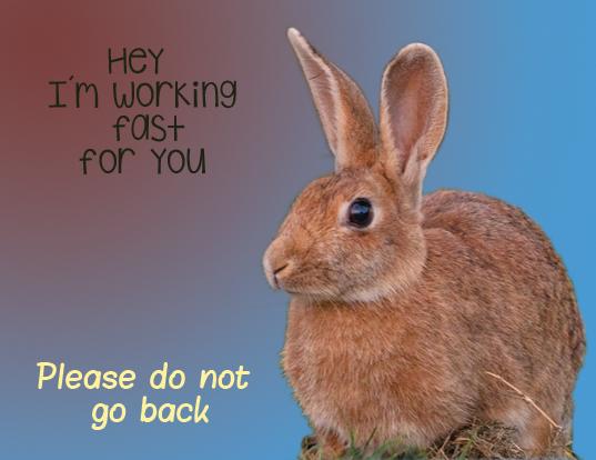 Bunny pop up - image 1 - student project
