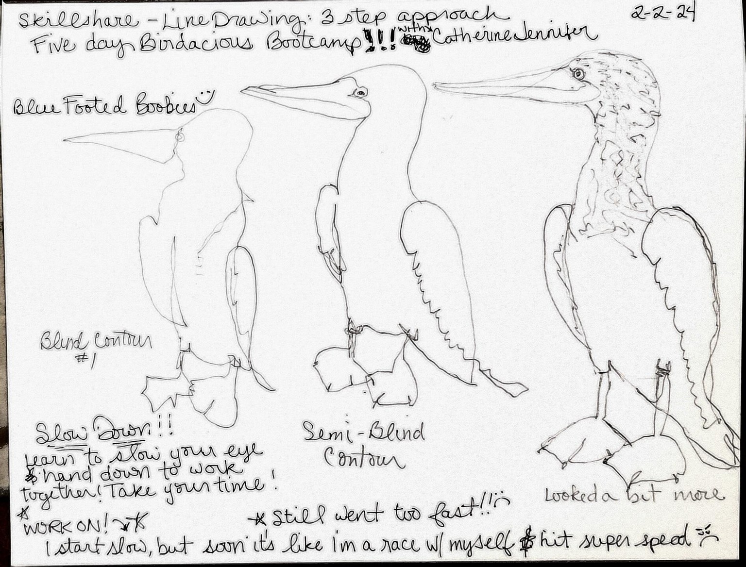 Fun Blue Footed Boobies :) - image 1 - student project