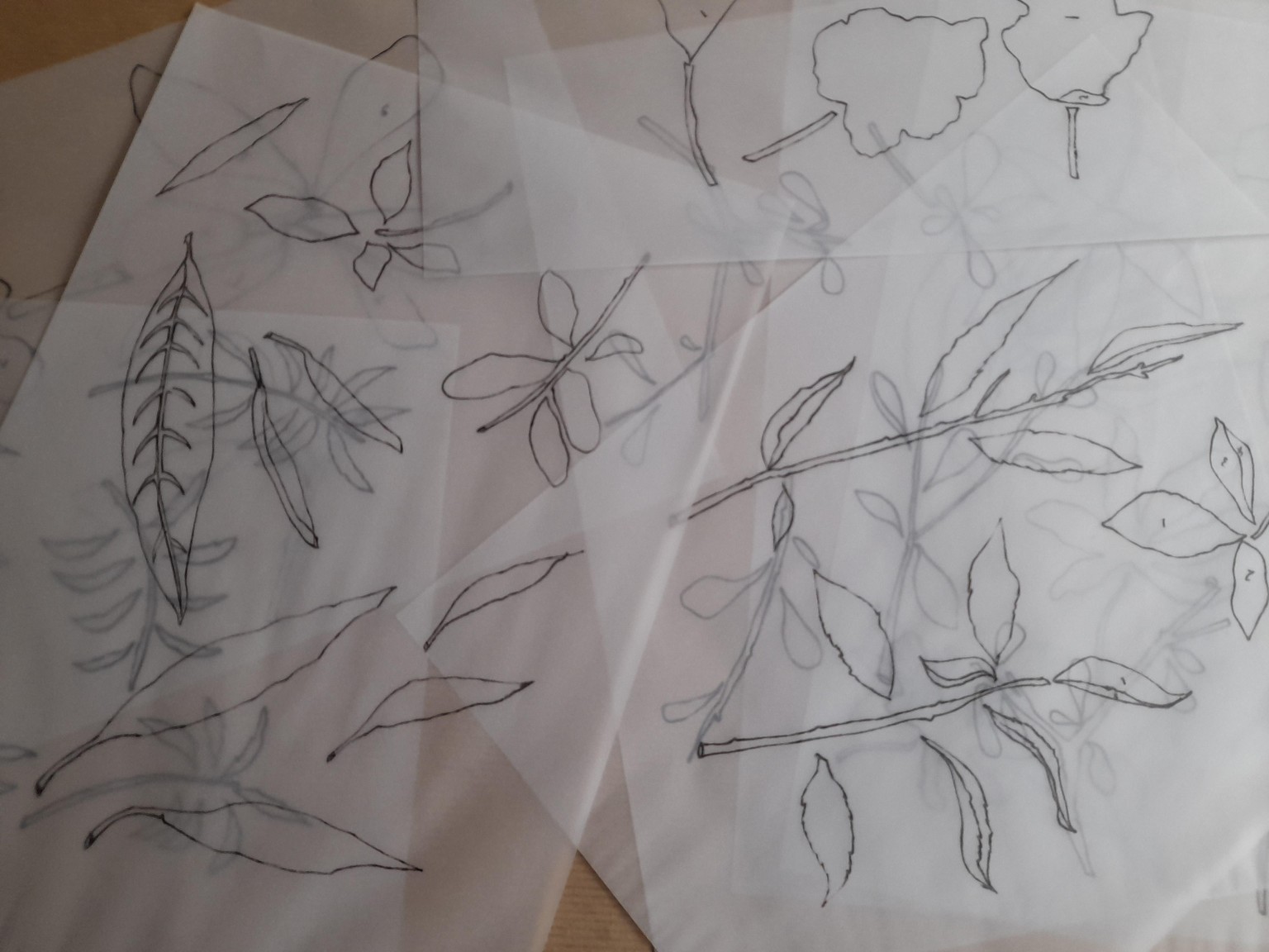 Collage a Collection - Foliage - image 3 - student project