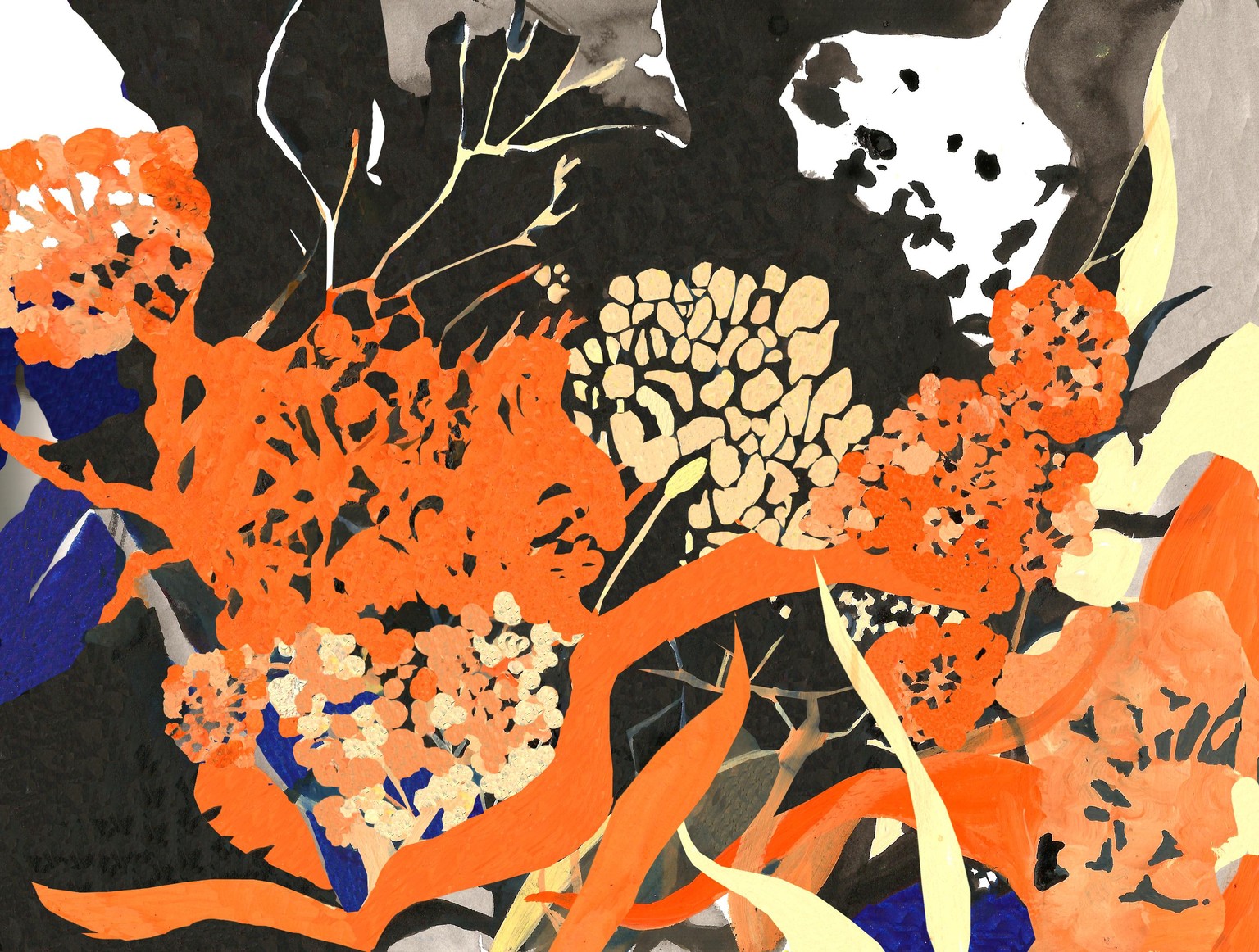 Drawing Nature - Five Creative Sketchbook Activities - image 3 - student project