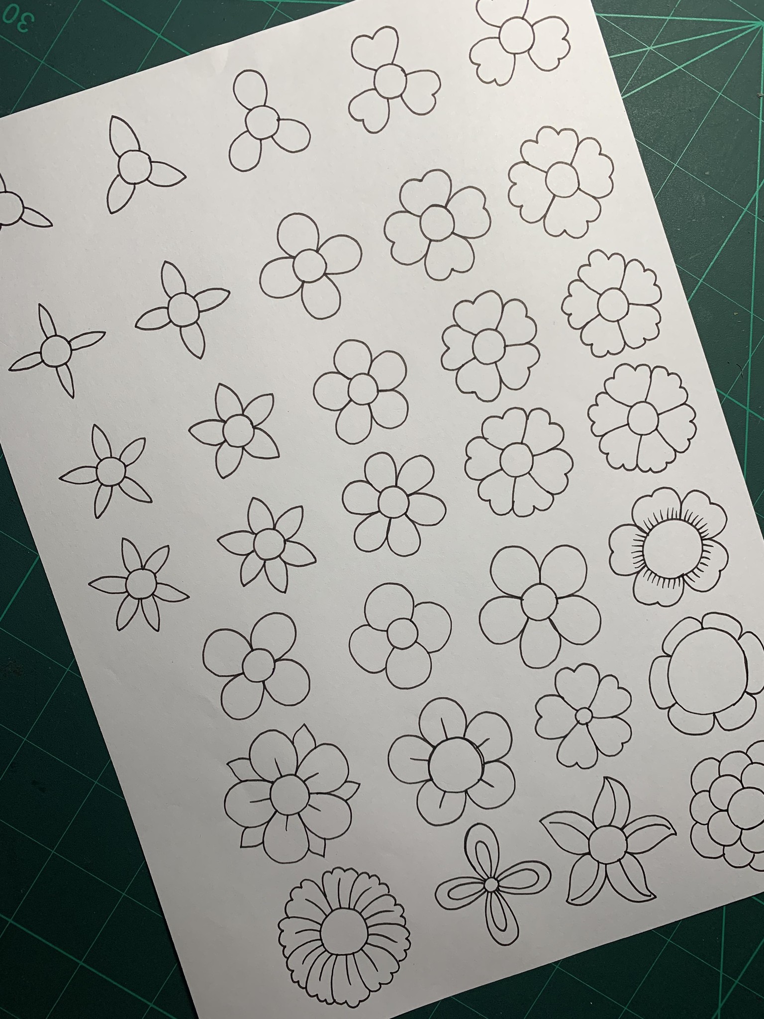 Trailing Chrysanthemum Branches - image 2 - student project
