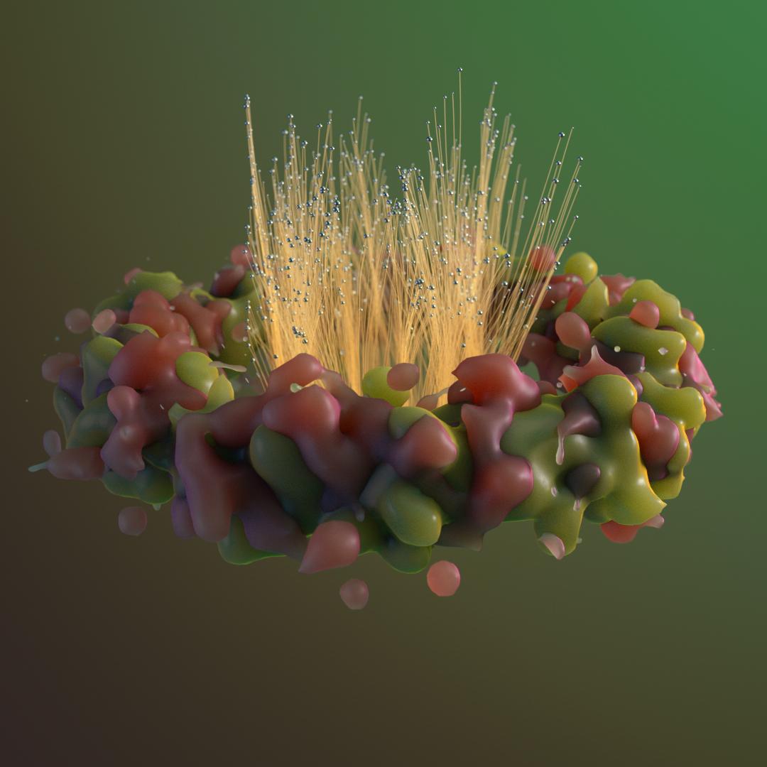 Waxy_Ring - image 2 - student project