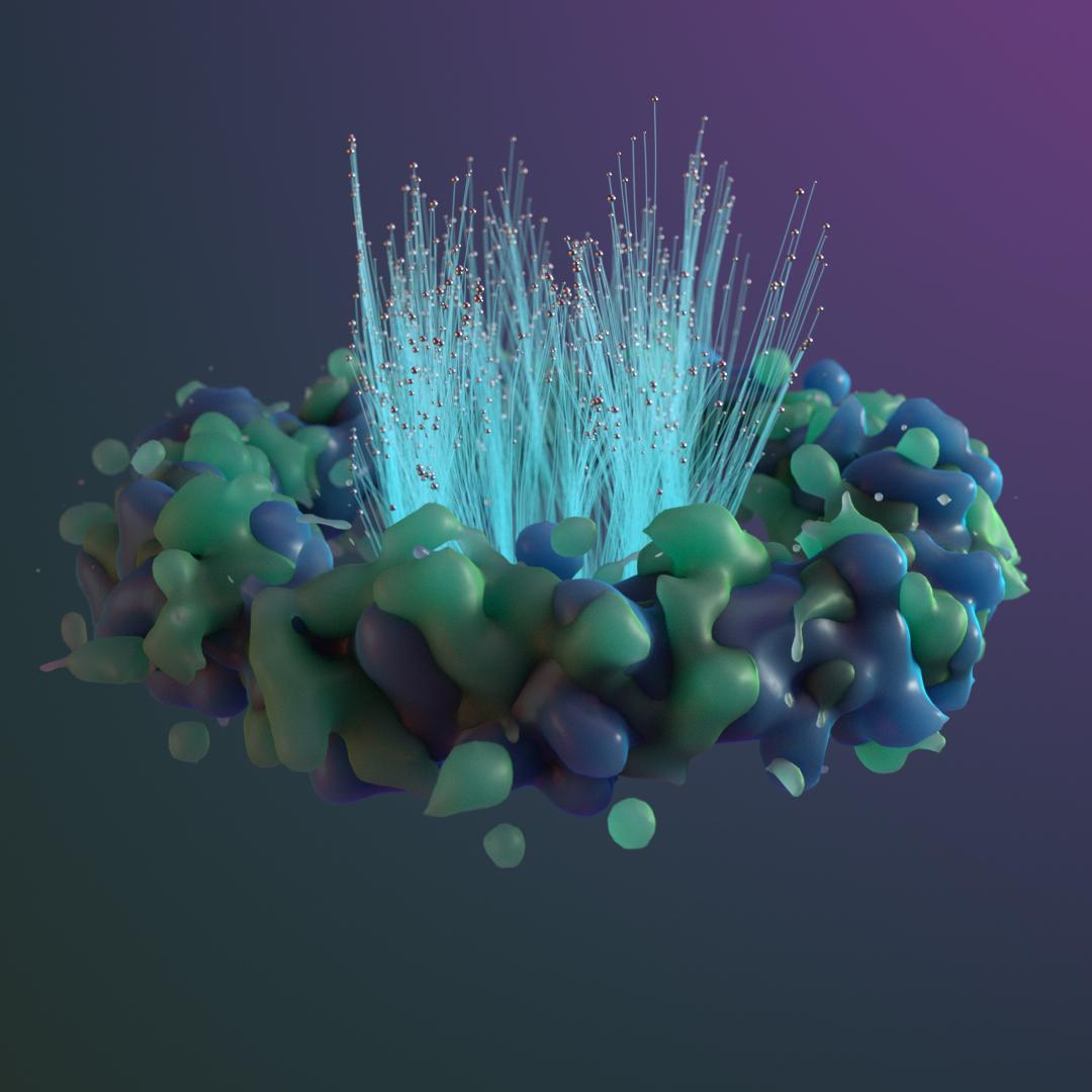 Waxy_Ring - image 1 - student project