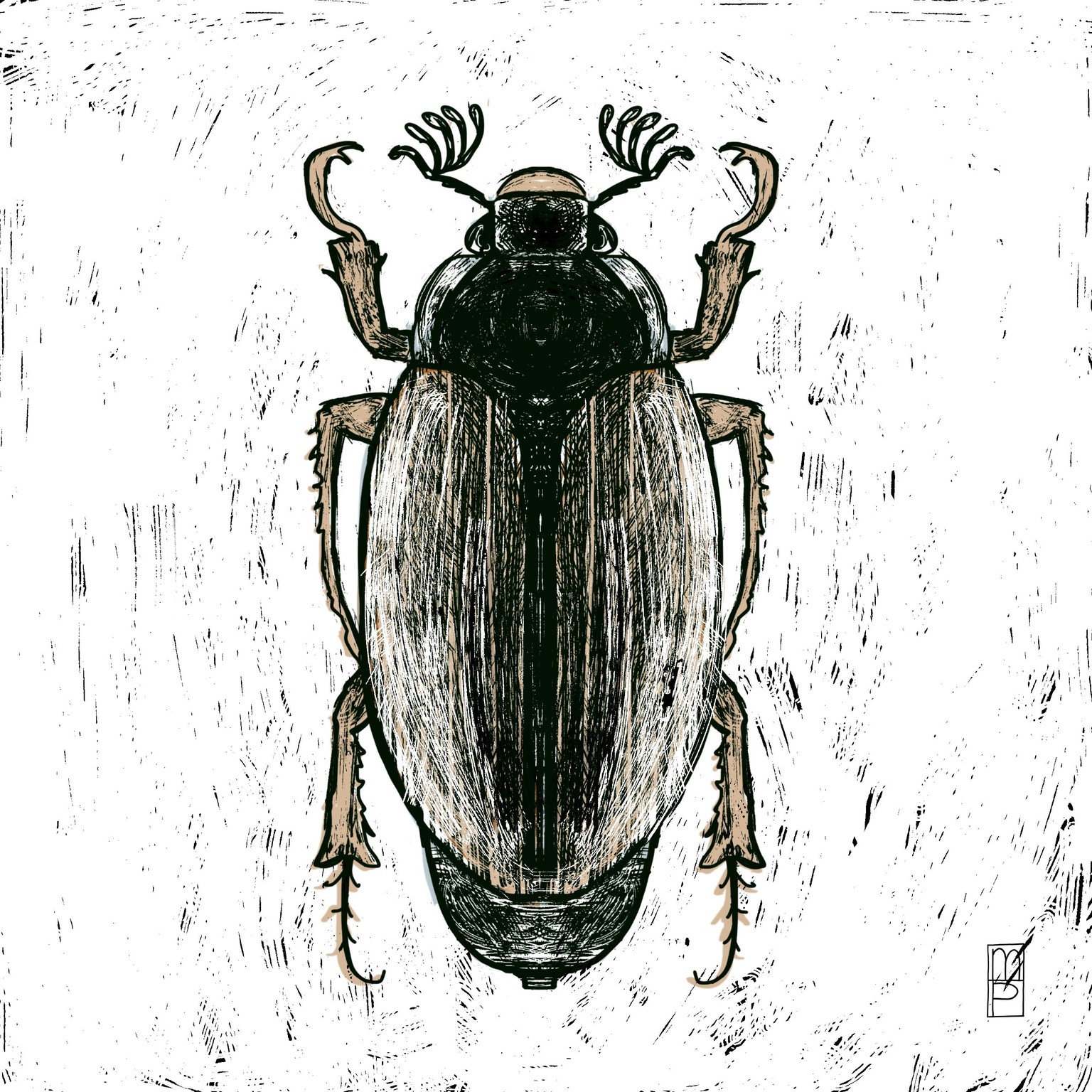 10 Days of Butterflies, Bugs and Beasties - image 4 - student project