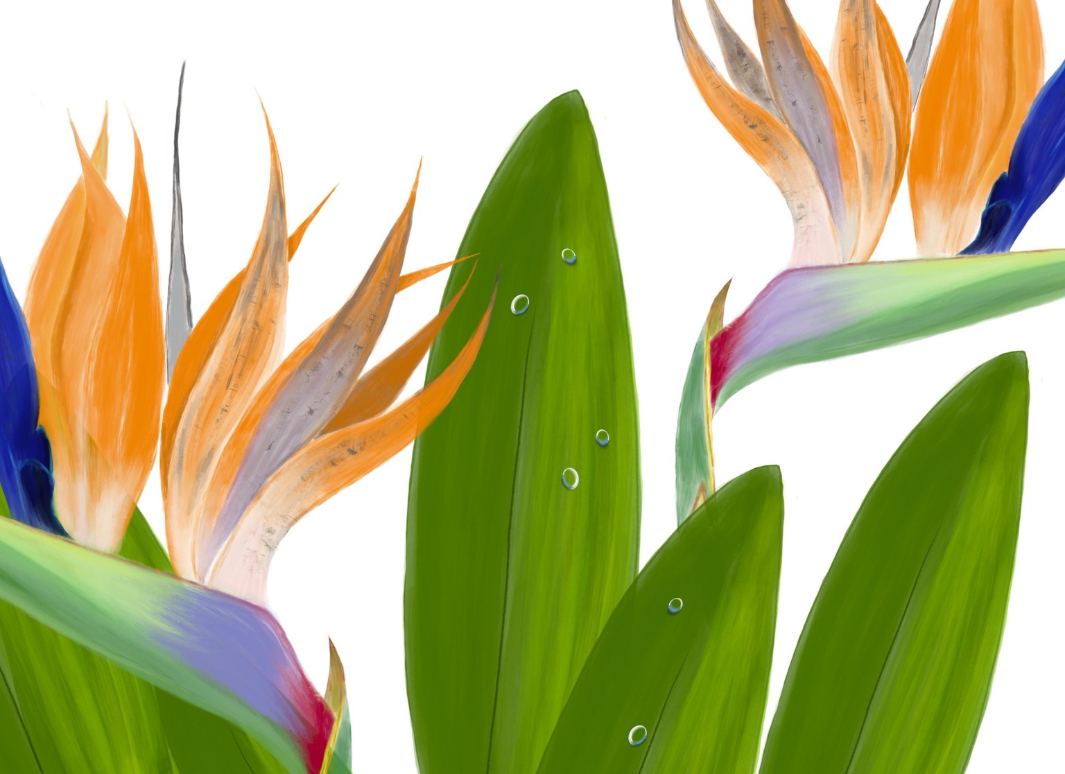 3D water droplets - image 1 - student project