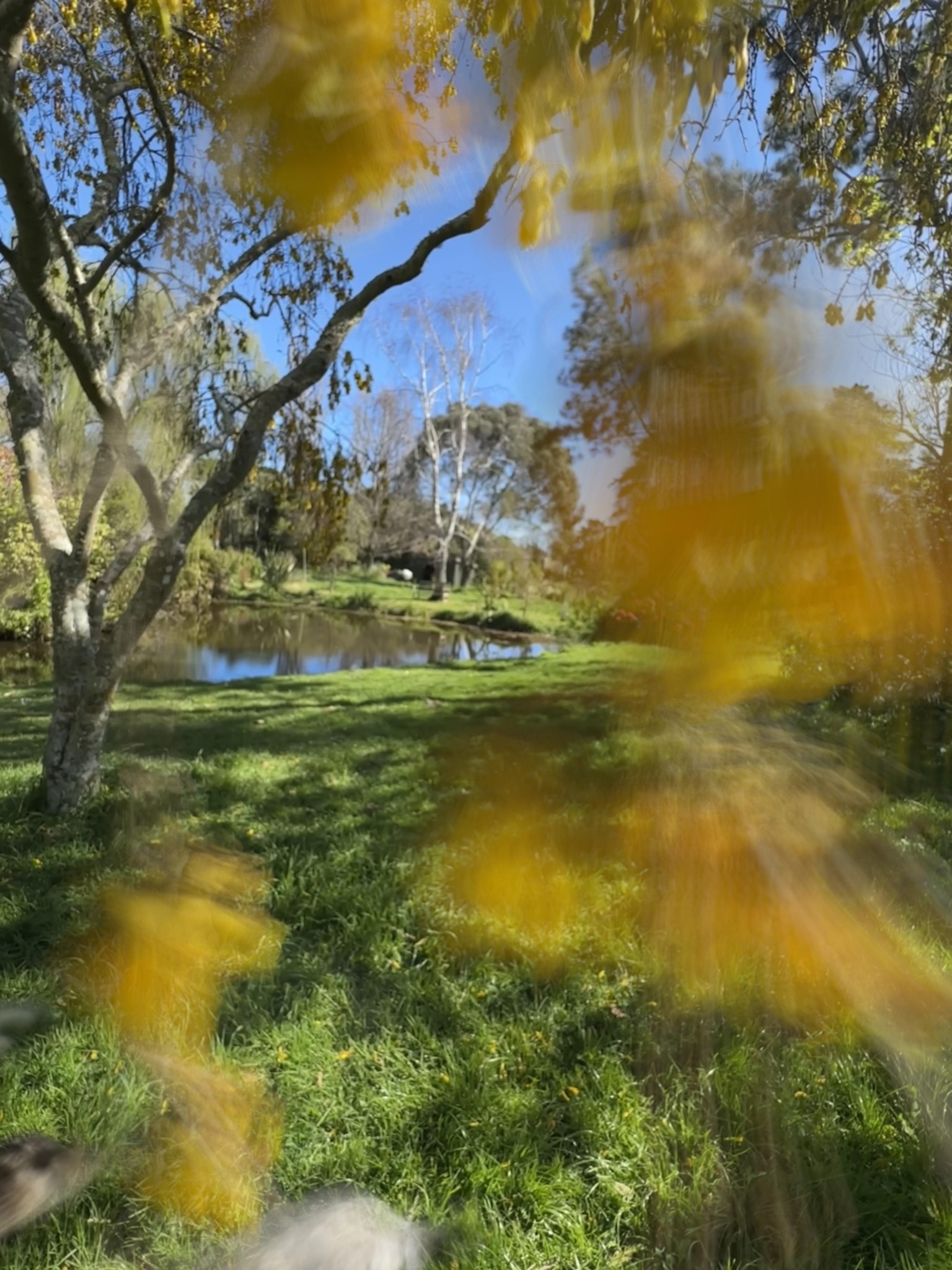 Linda Holman's photo portfolio - image 3 - student project