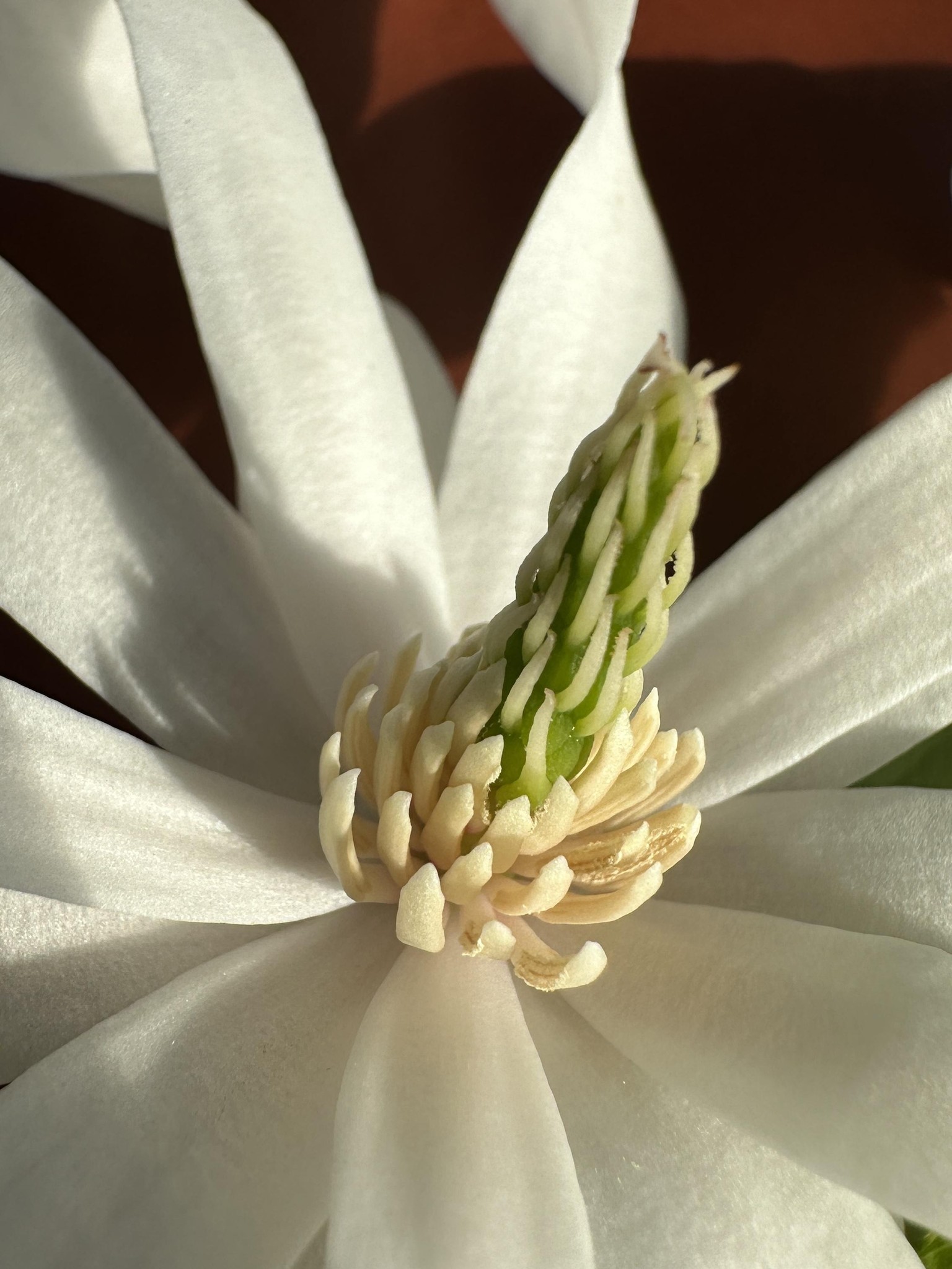Linda Holman's photo portfolio - image 1 - student project