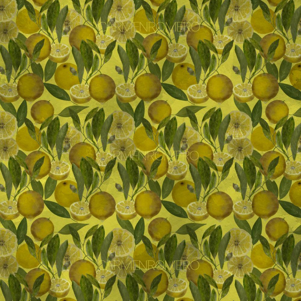 Limones - image 1 - student project