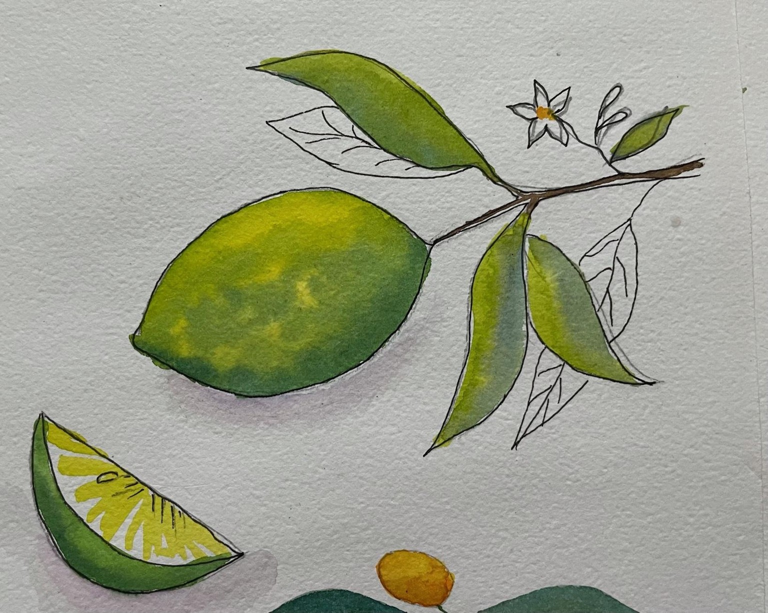 Watercolor Citrus - image 2 - student project