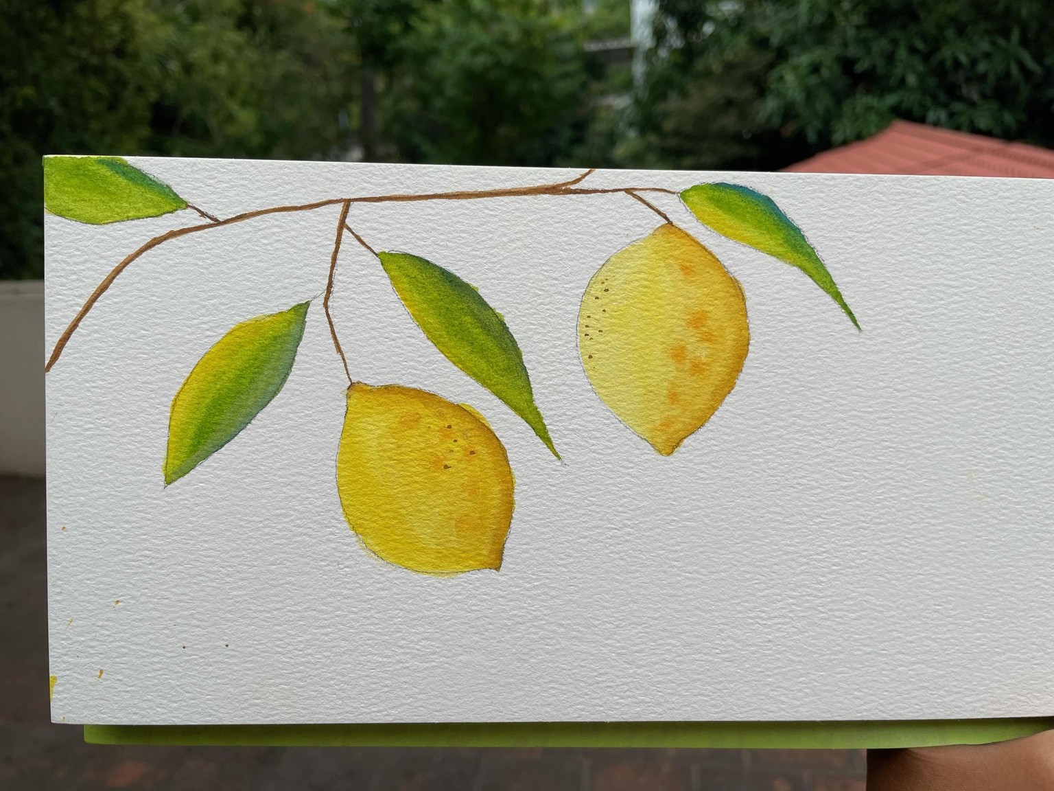 Watercolor Citrus - image 1 - student project