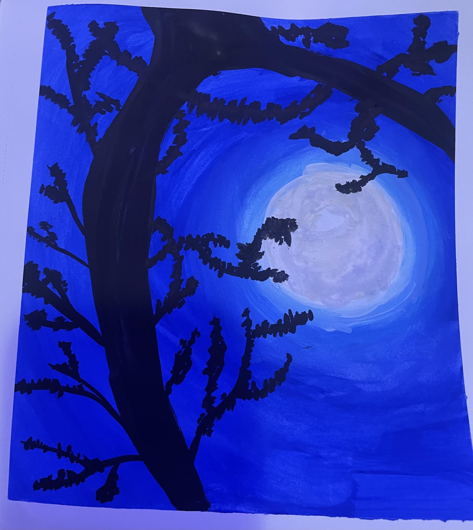 Days 1-2 - image 3 - student project