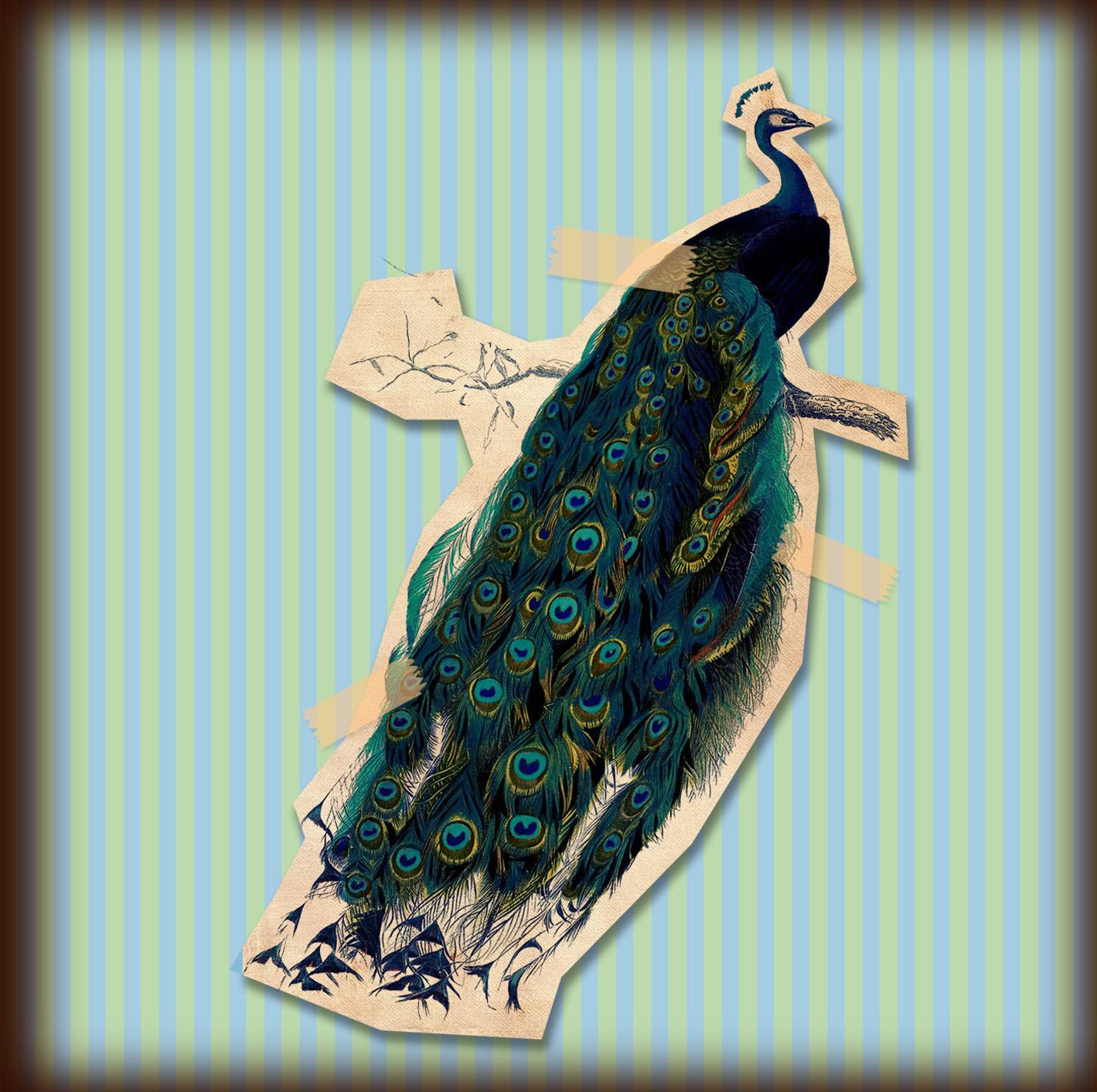 Peacock Vignette - image 1 - student project