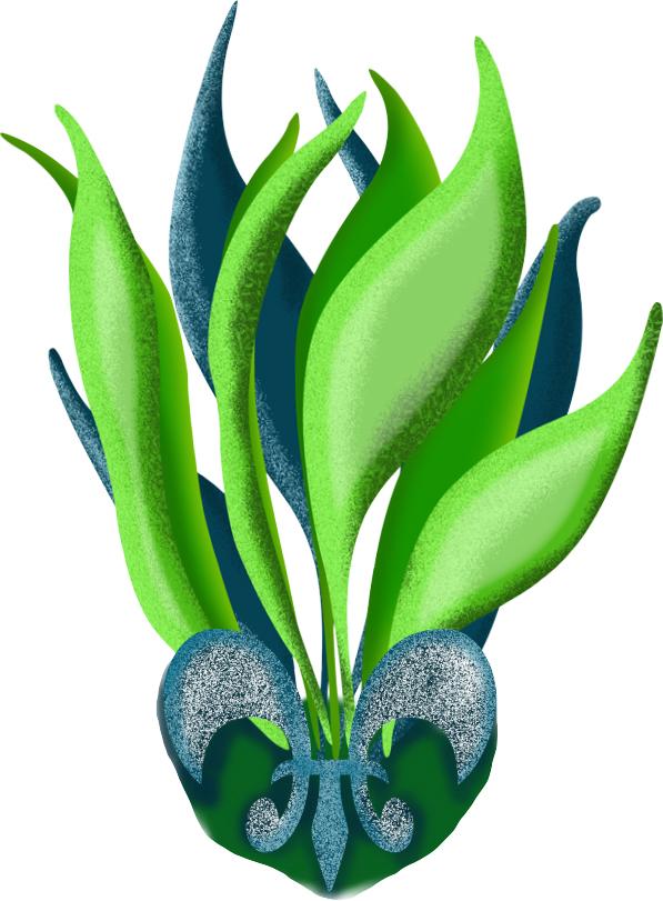 Learned a Lot! - image 1 - student project