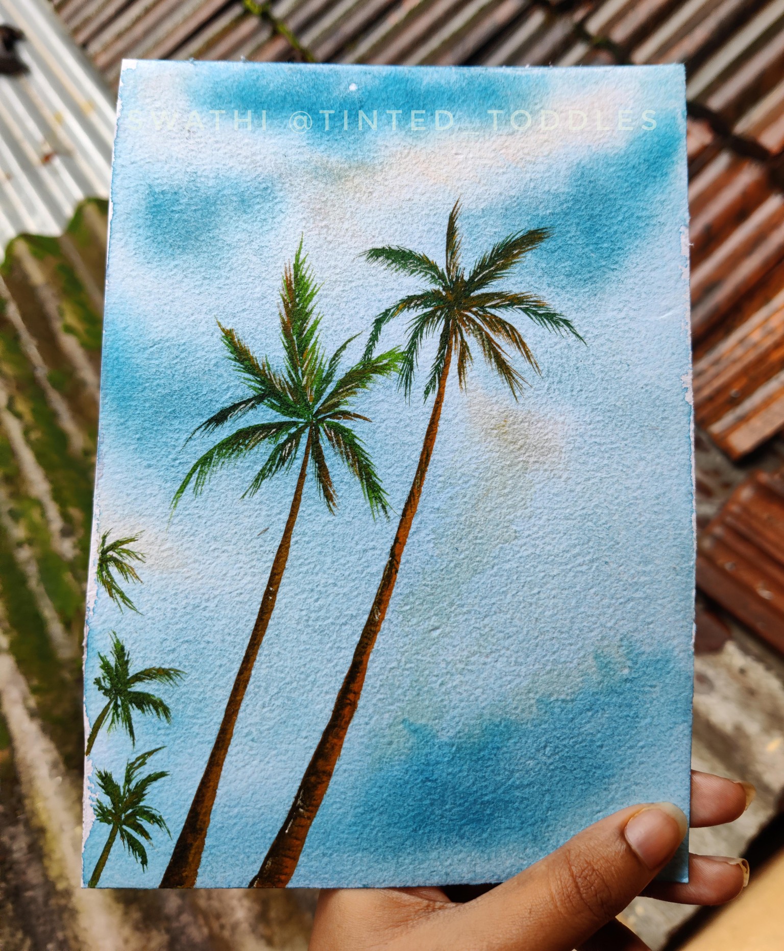 Palm trees - image 1 - student project