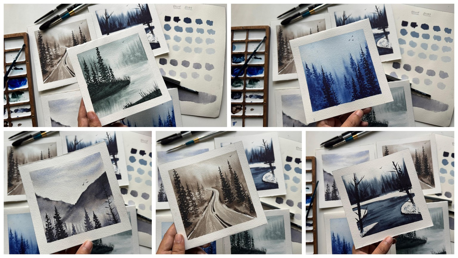 Misty pines in monochromes - image 1 - student project