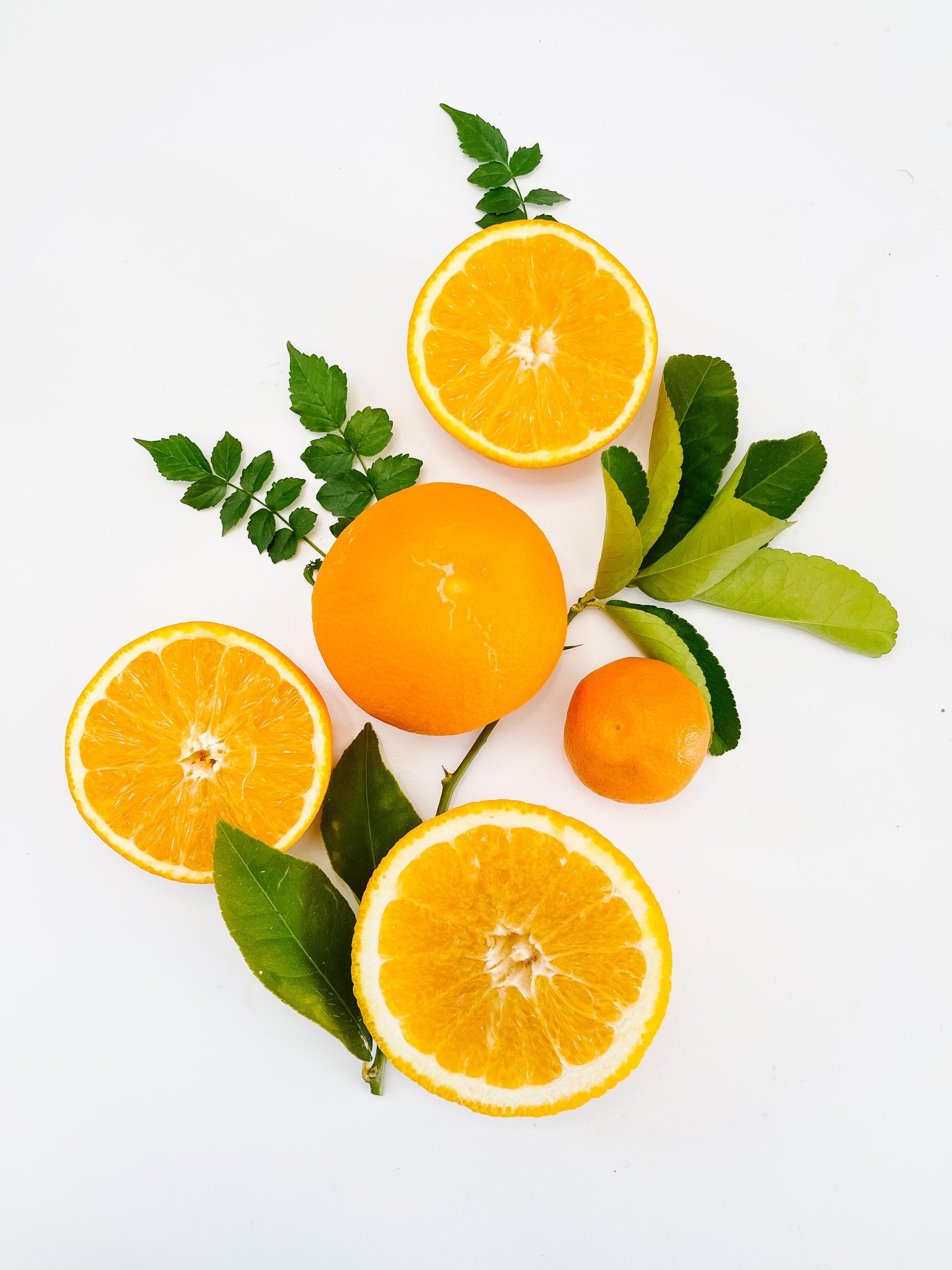 Sample Project: Cheerful Citrus Flat Lay - image 2 - student project