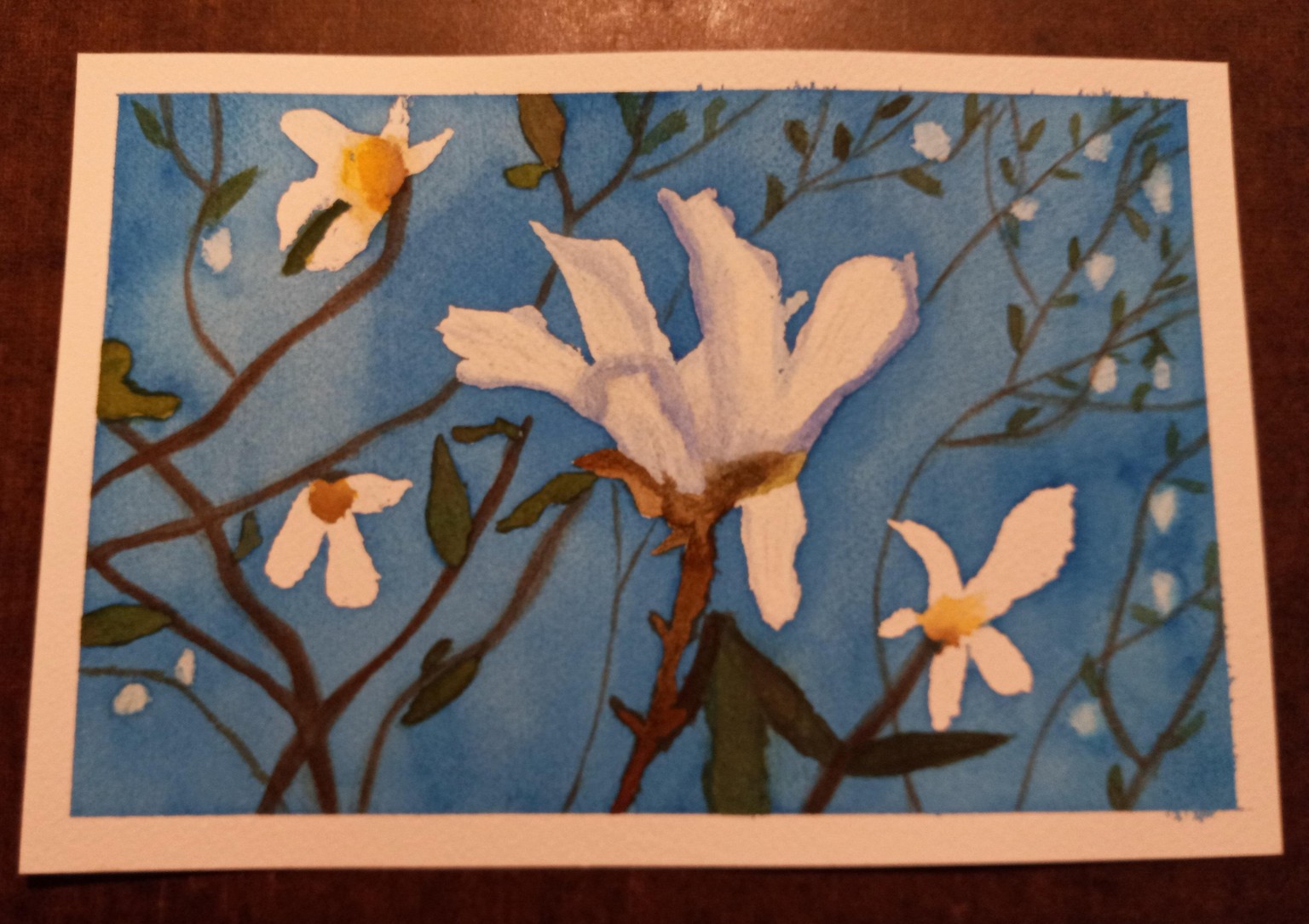 Blossom to Bloom 15 Day - image 12 - student project